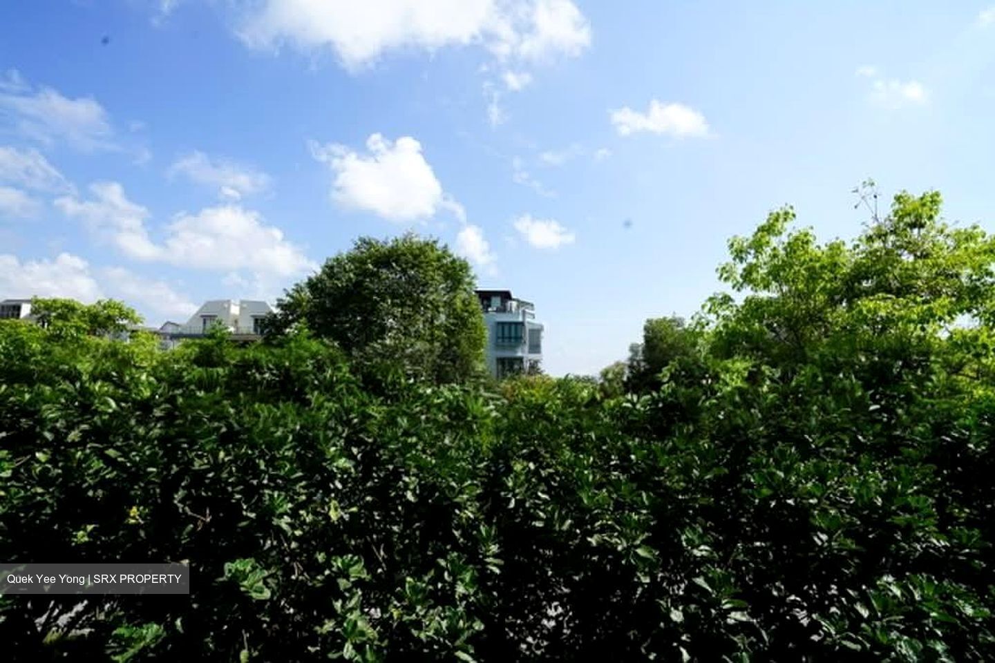 Ripple Bay (D18), Condominium #595021871